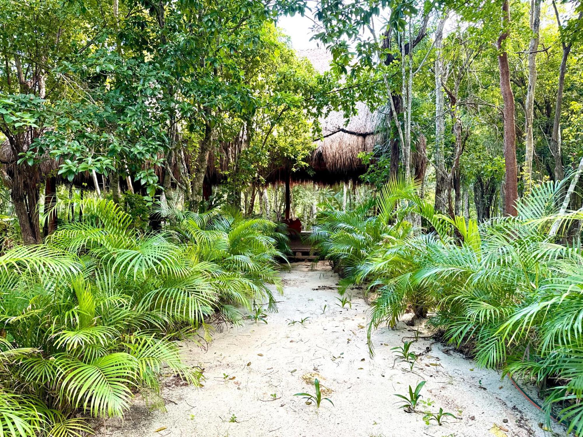 Glamping Bunga Lotus Hotel Tulum Exterior photo